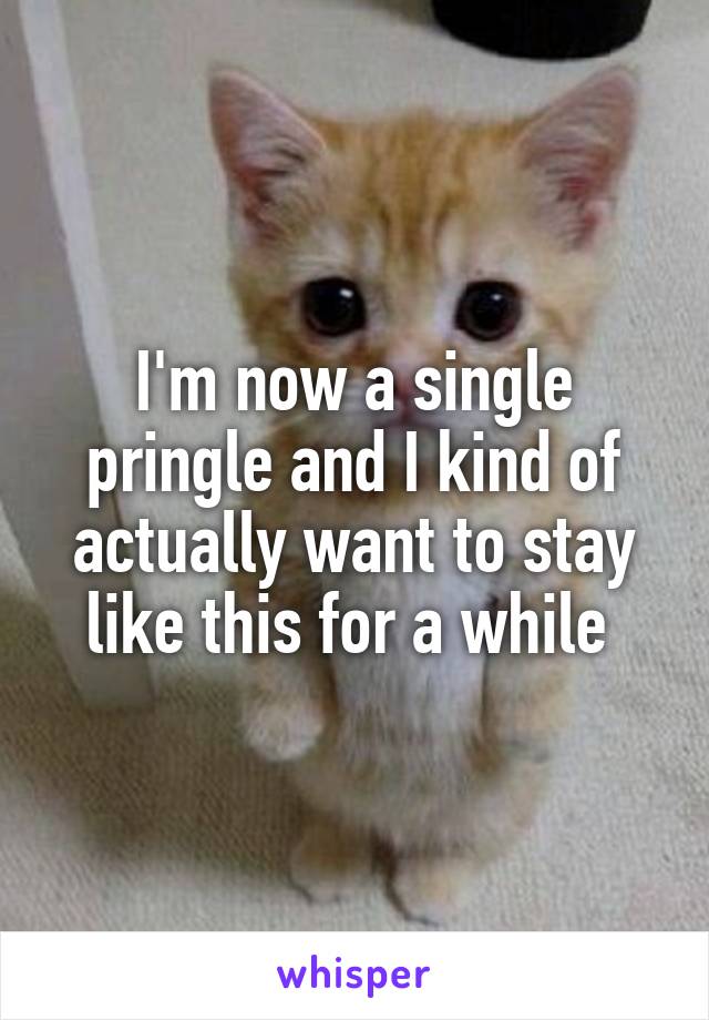 I'm now a single pringle and I kind of actually want to stay like this for a while 