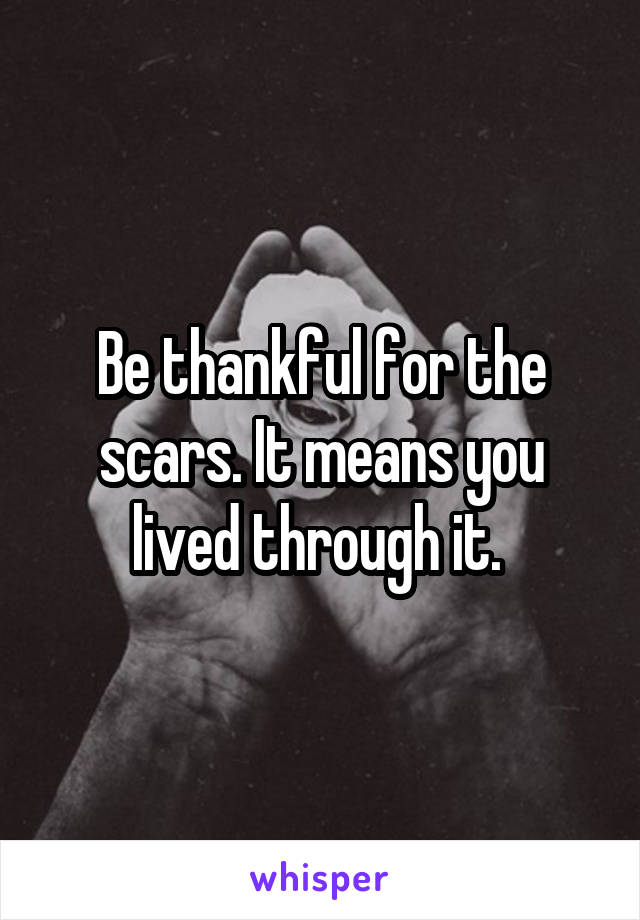 Be thankful for the scars. It means you lived through it. 