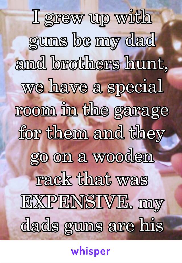 I grew up with guns bc my dad and brothers hunt, we have a special room in the garage for them and they go on a wooden rack that was EXPENSIVE. my dads guns are his babies. 