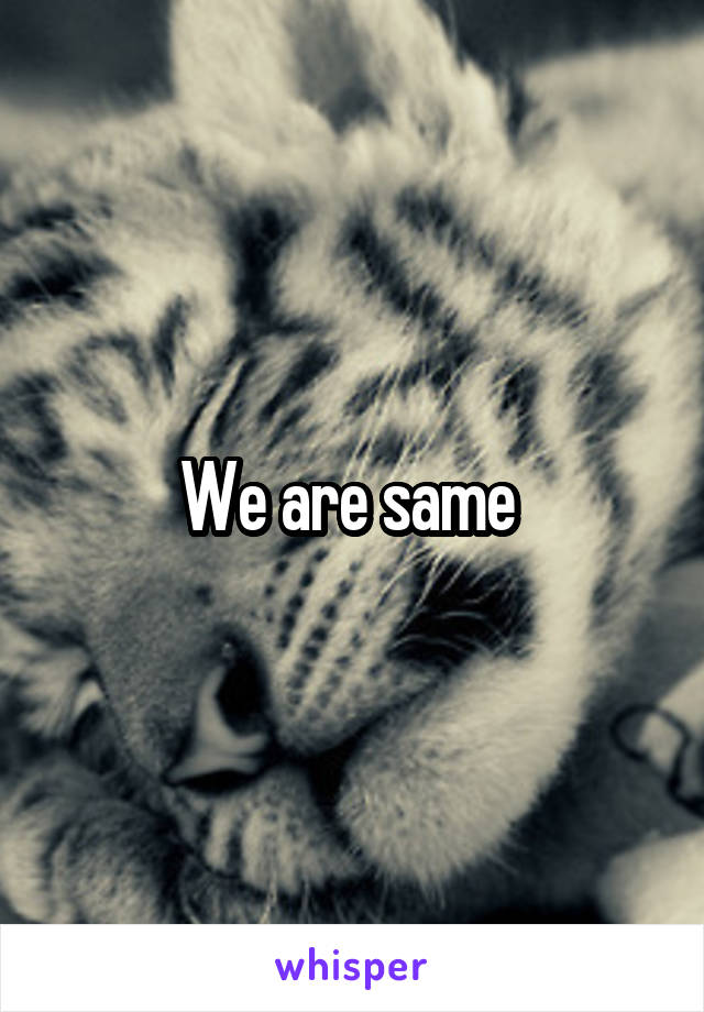 We are same 