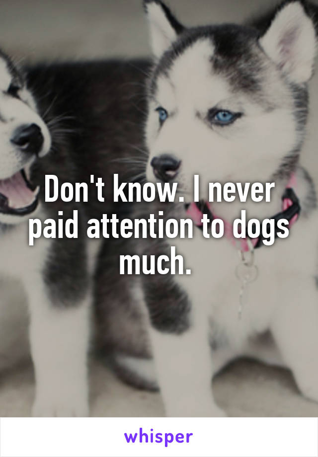 Don't know. I never paid attention to dogs much. 