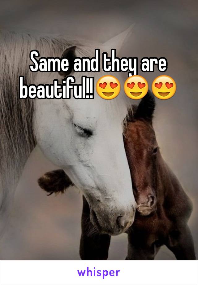 Same and they are beautiful!!😍😍😍