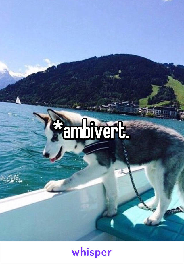 *ambivert. 