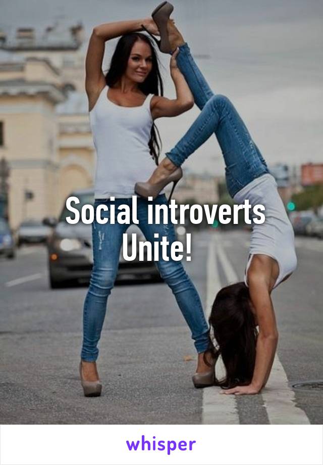  Social introverts Unite! 