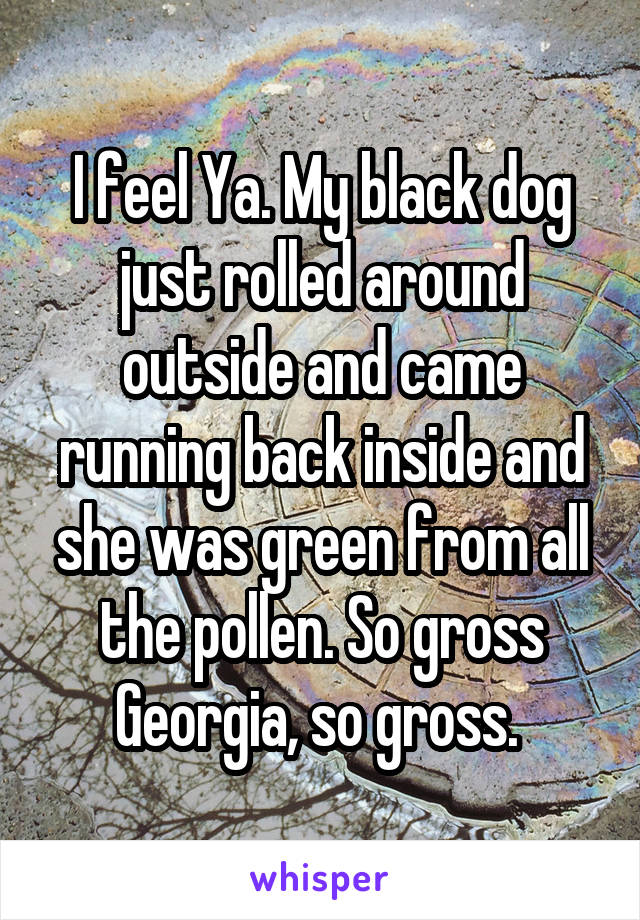 I feel Ya. My black dog just rolled around outside and came running back inside and she was green from all the pollen. So gross Georgia, so gross. 