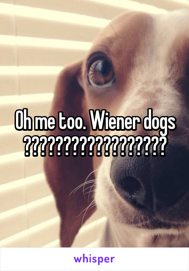 Oh me too. Wiener dogs 😂😂😂😂😂😂😂😂😂😂😂😂😂😂😂😂😂😂