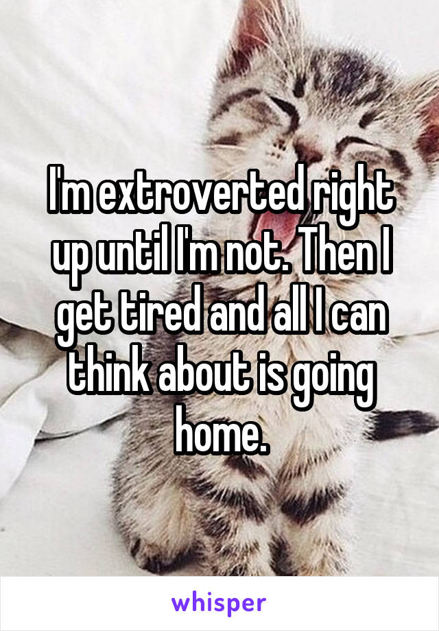 I'm extroverted right up until I'm not. Then I get tired and all I can think about is going home.