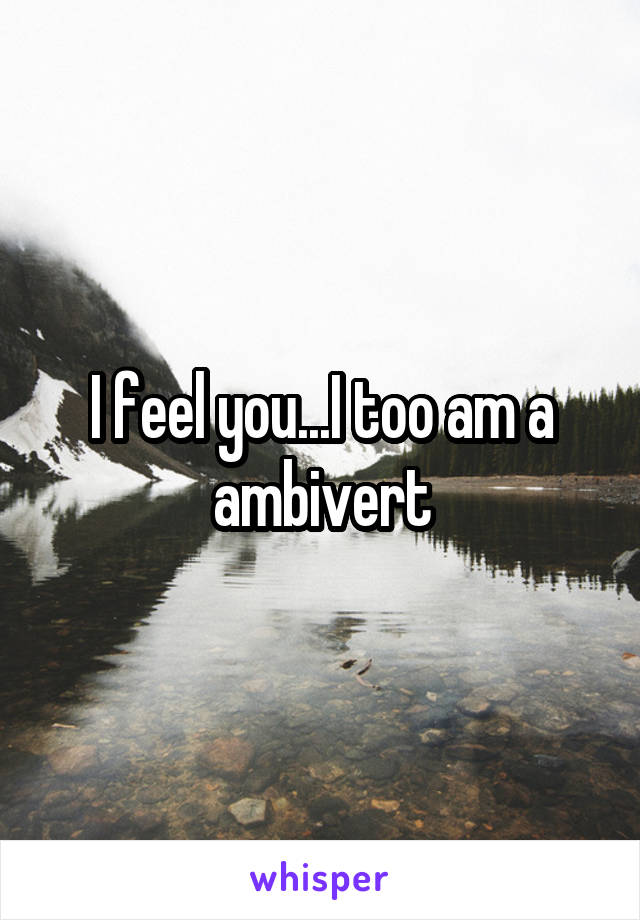 I feel you...I too am a ambivert