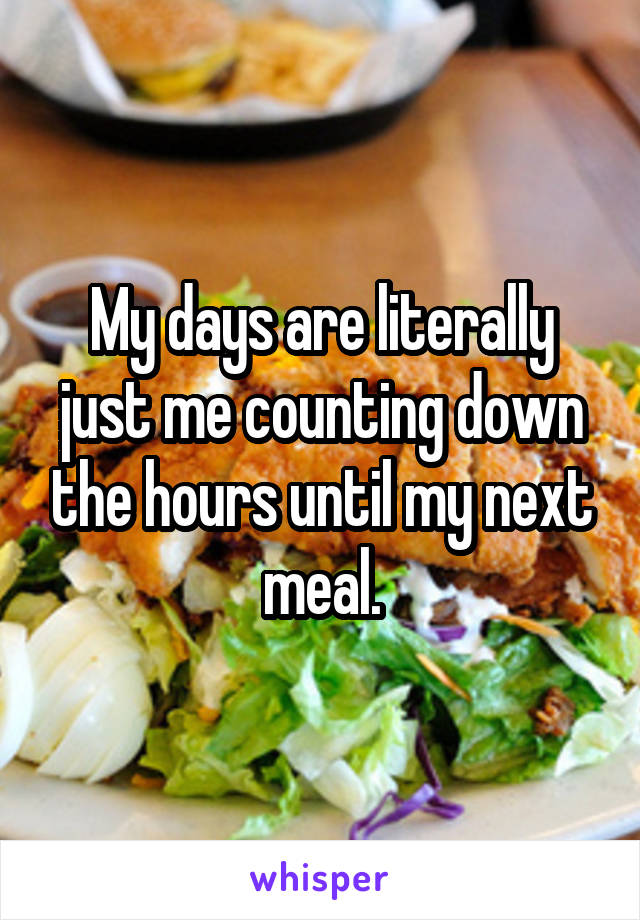 My days are literally just me counting down the hours until my next meal.
