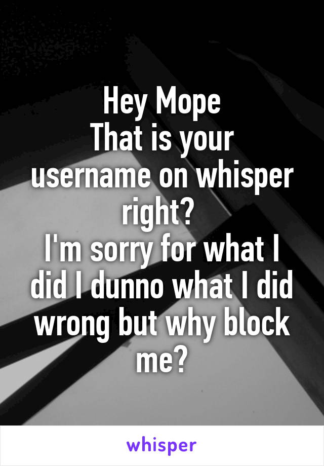 Hey Mope
That is your username on whisper right? 
I'm sorry for what I did I dunno what I did wrong but why block me?