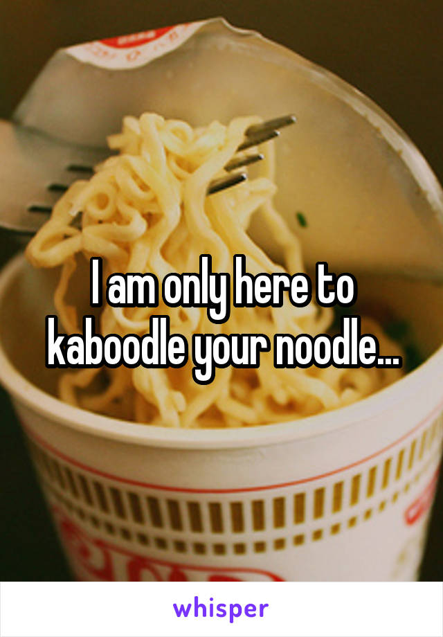 I am only here to kaboodle your noodle...