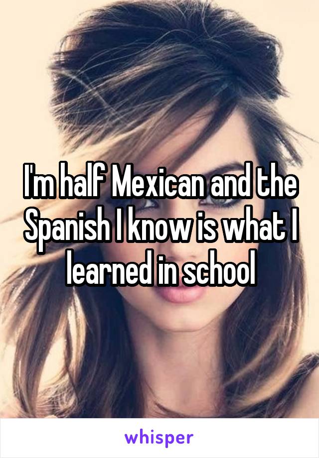 I'm half Mexican and the Spanish I know is what I learned in school