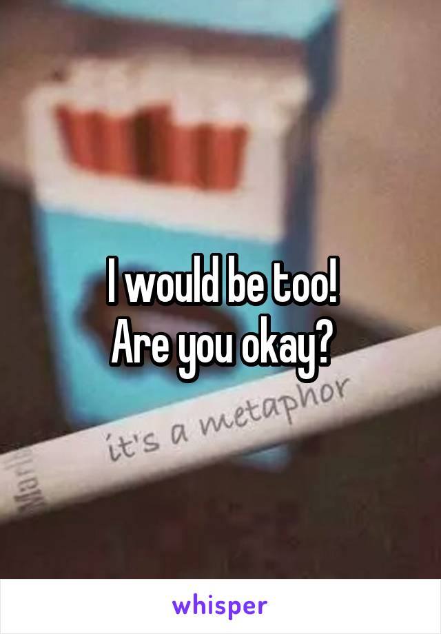 I would be too!
Are you okay?