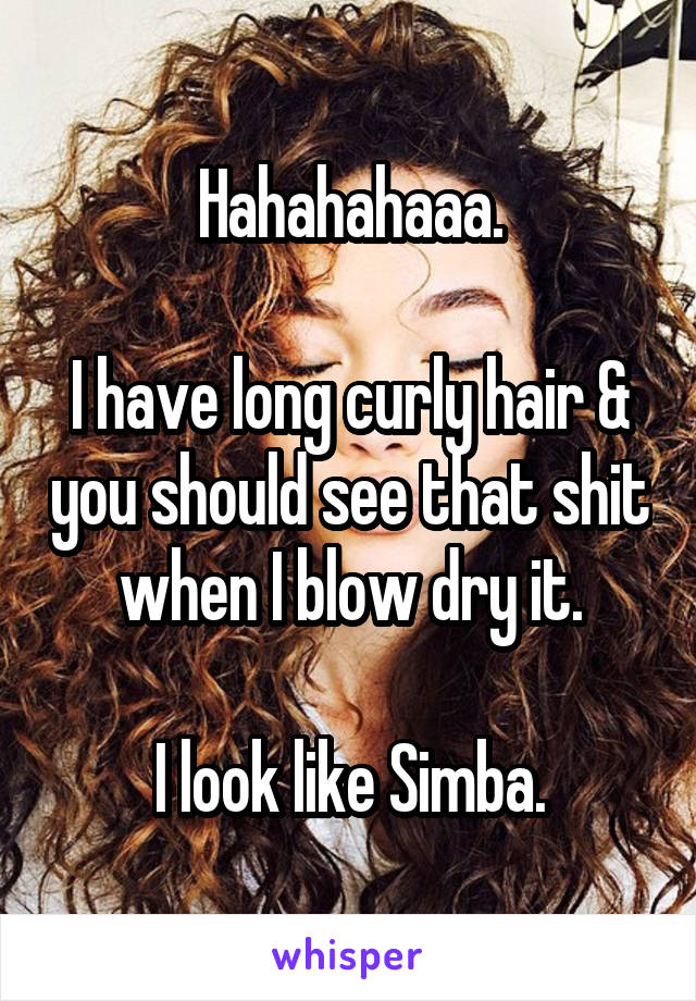 Hahahahaaa.

I have long curly hair & you should see that shit when I blow dry it.

I look like Simba.