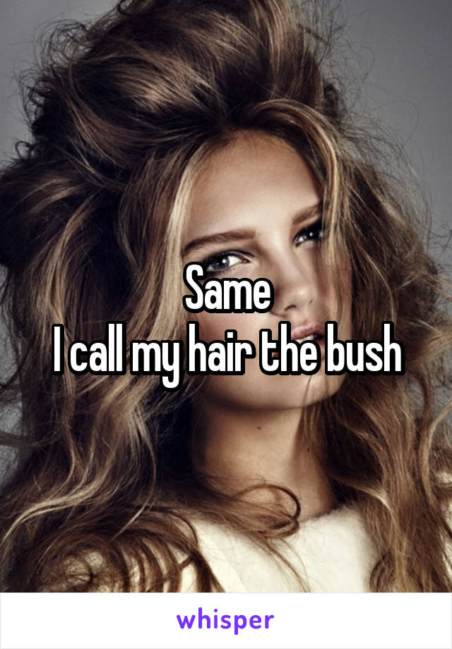 Same
I call my hair the bush