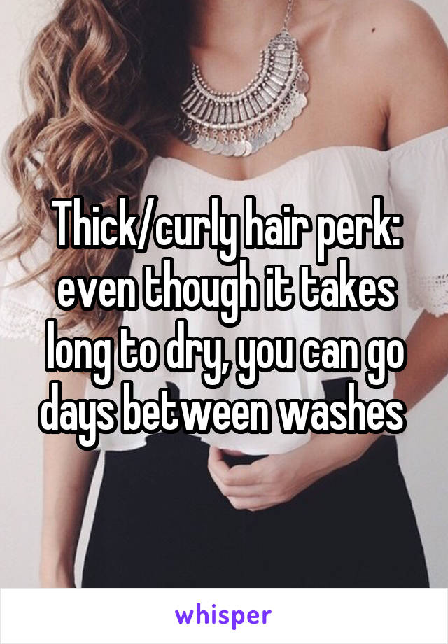 Thick/curly hair perk: even though it takes long to dry, you can go days between washes 