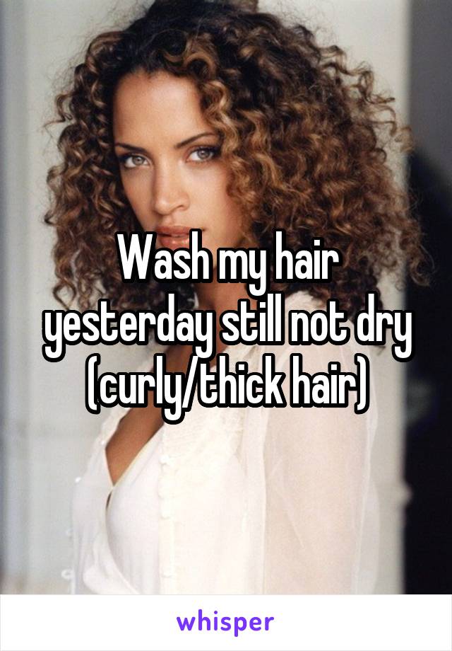 Wash my hair yesterday still not dry (curly/thick hair)