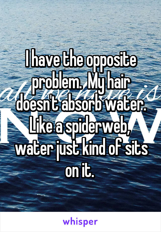 I have the opposite problem.  My hair doesn't absorb water. Like a spiderweb,  water just kind of sits on it. 