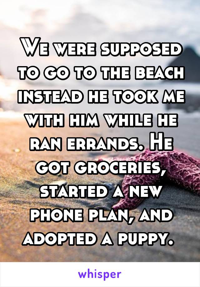 We were supposed to go to the beach instead he took me with him while he ran errands. He got groceries, started a new phone plan, and adopted a puppy. 