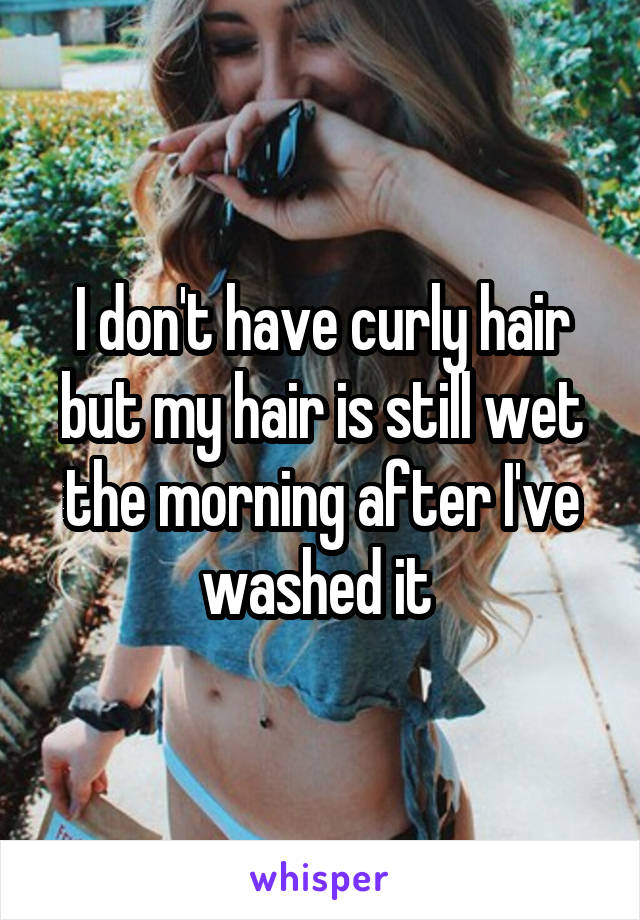 I don't have curly hair but my hair is still wet the morning after I've washed it 