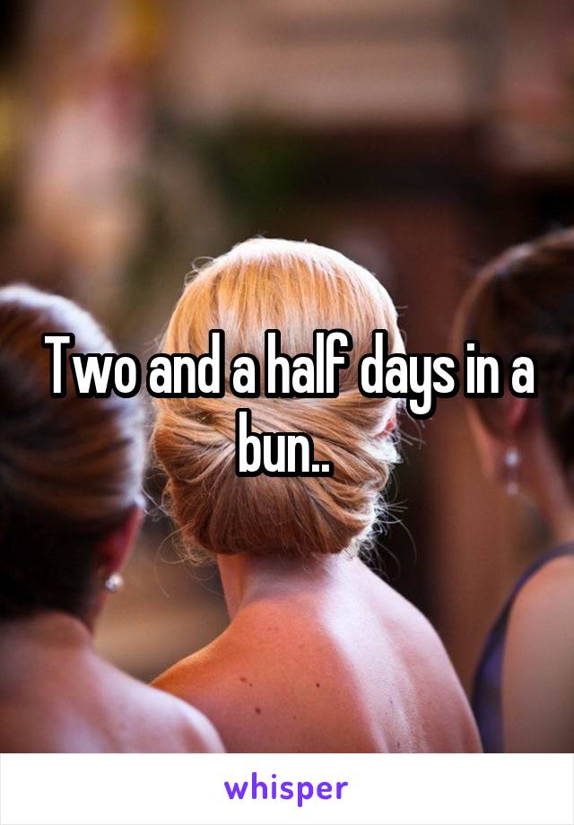 Two and a half days in a bun.. 