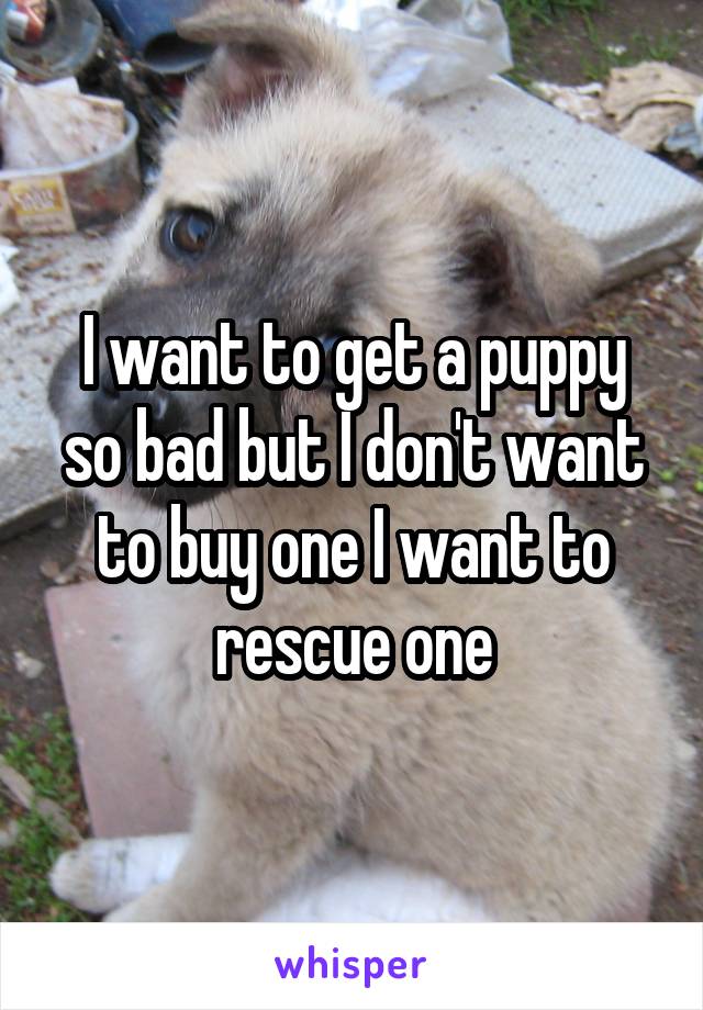 I want to get a puppy so bad but I don't want to buy one I want to rescue one
