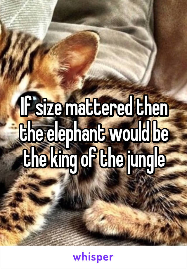 If size mattered then the elephant would be the king of the jungle