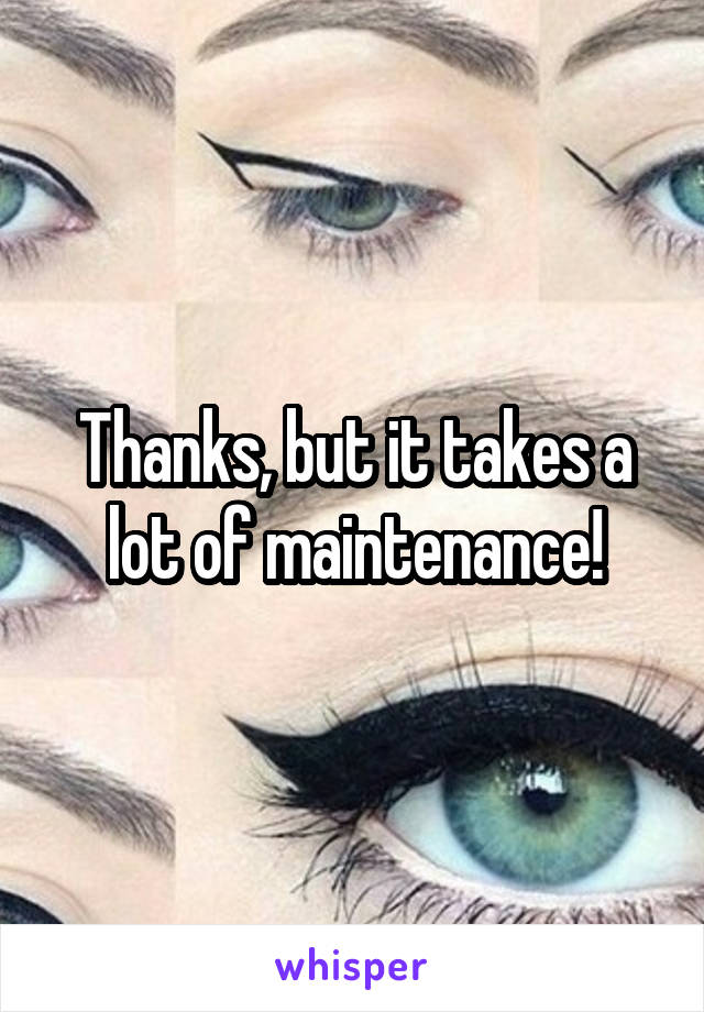 Thanks, but it takes a lot of maintenance!