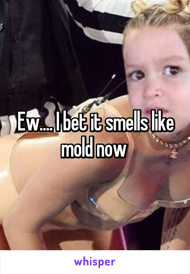 Ew.... I bet it smells like mold now 