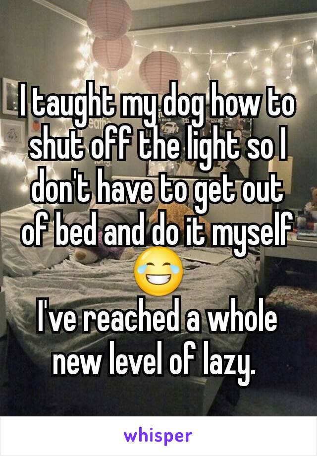 I taught my dog how to shut off the light so I don't have to get out of bed and do it myself 😂
I've reached a whole new level of lazy. 