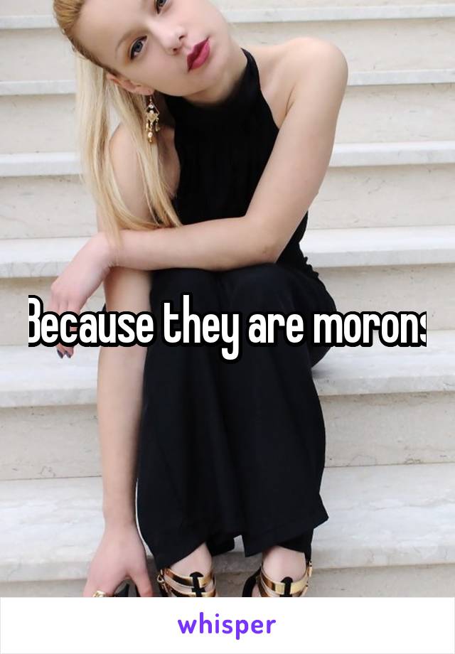 Because they are morons