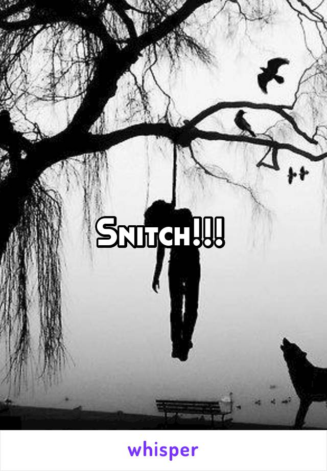 Snitch!!! 