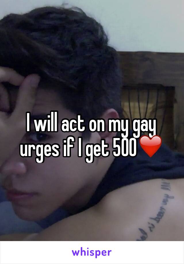 I will act on my gay urges if I get 500❤️