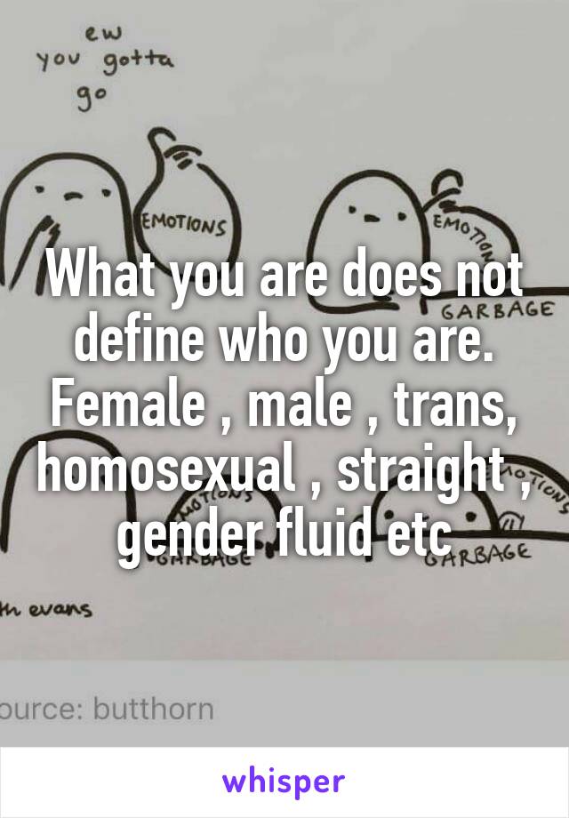What you are does not define who you are. Female , male , trans, homosexual , straight , gender fluid etc