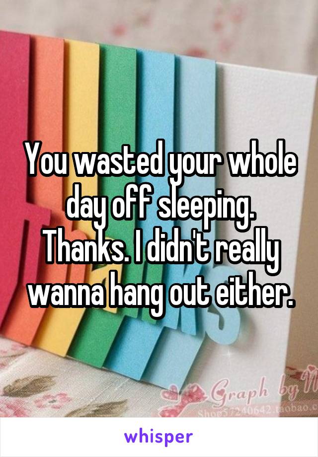 You wasted your whole day off sleeping. Thanks. I didn't really wanna hang out either.