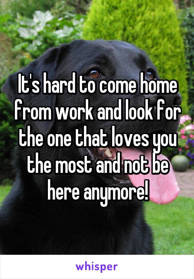 It's hard to come home from work and look for the one that loves you the most and not be here anymore!