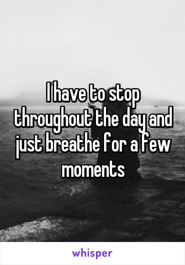 I have to stop throughout the day and just breathe for a few moments