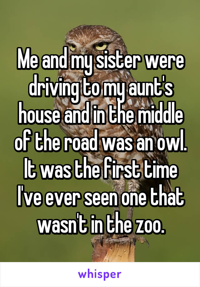Me and my sister were driving to my aunt's house and in the middle of the road was an owl. It was the first time I've ever seen one that wasn't in the zoo.