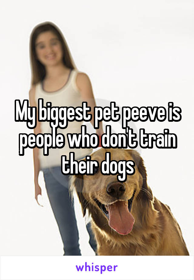 My biggest pet peeve is people who don't train their dogs