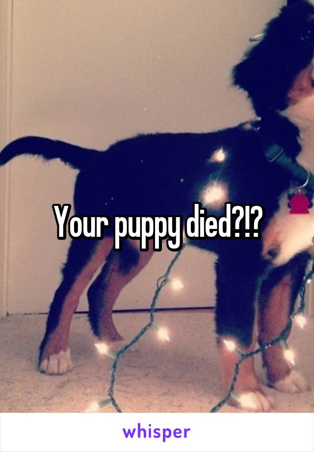 Your puppy died?!?