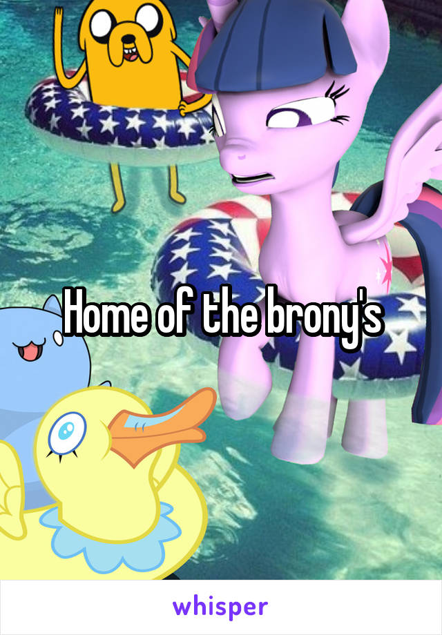 Home of the brony's