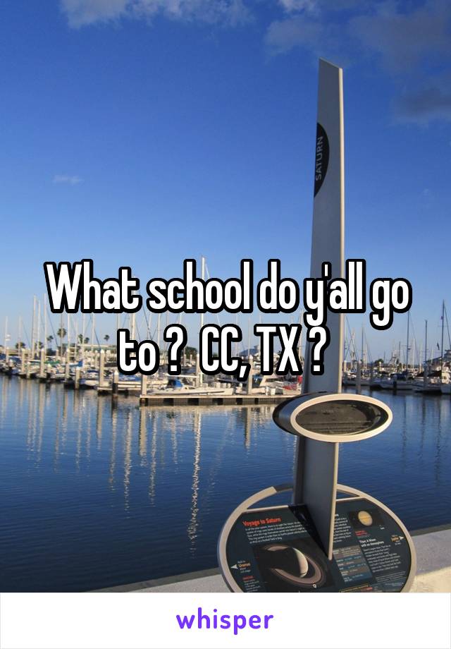 What school do y'all go to ?  CC, TX ? 