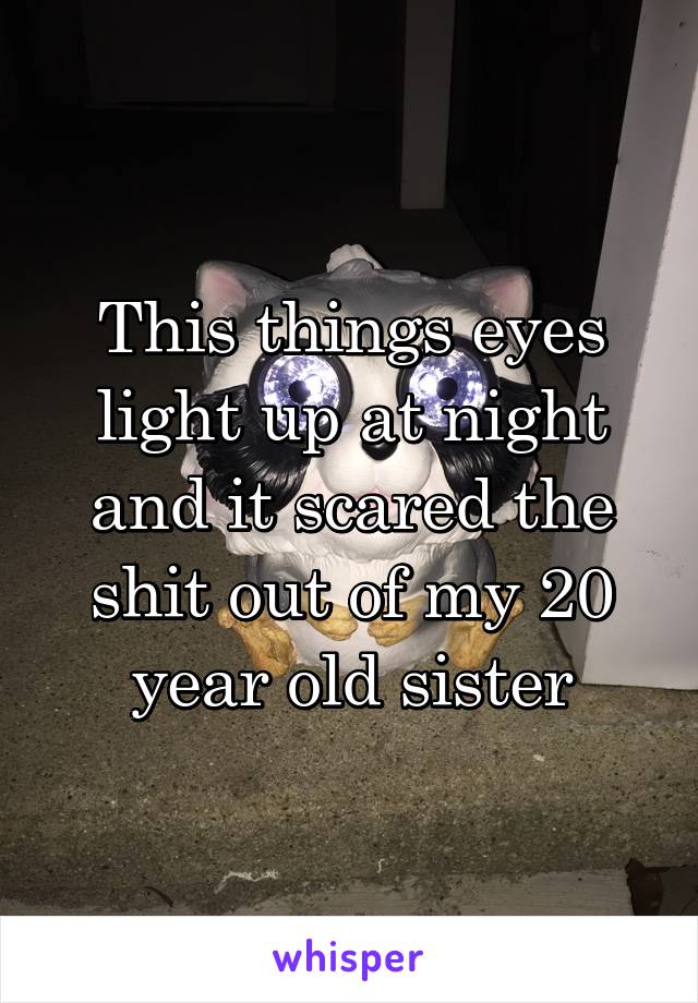 This things eyes light up at night and it scared the shit out of my 20 year old sister