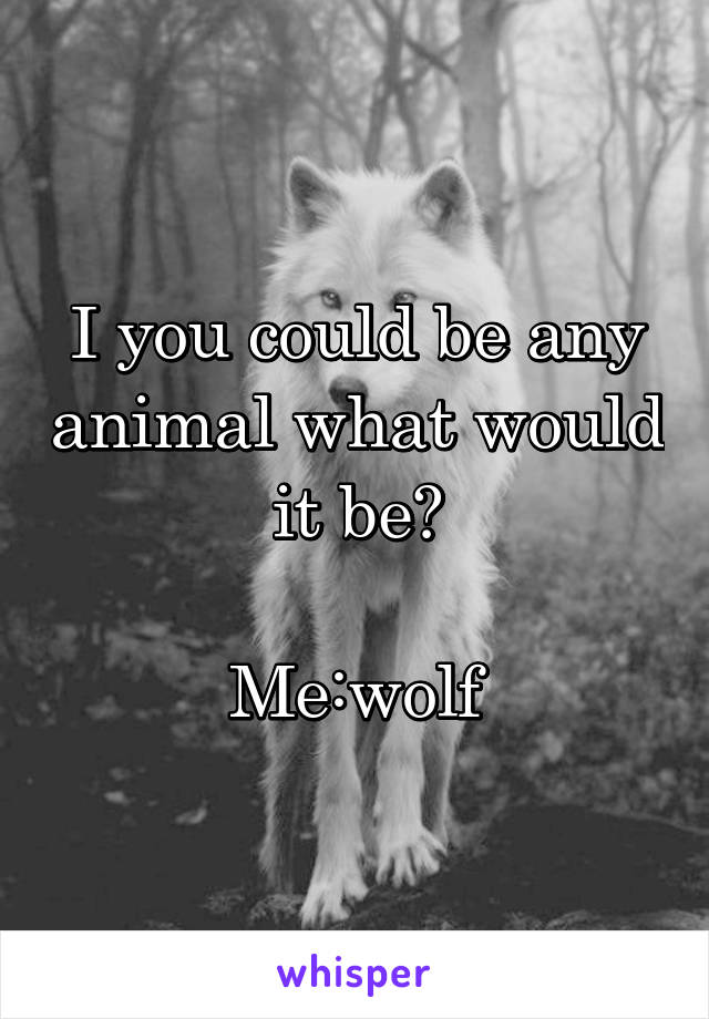 I you could be any animal what would it be?

Me:wolf
