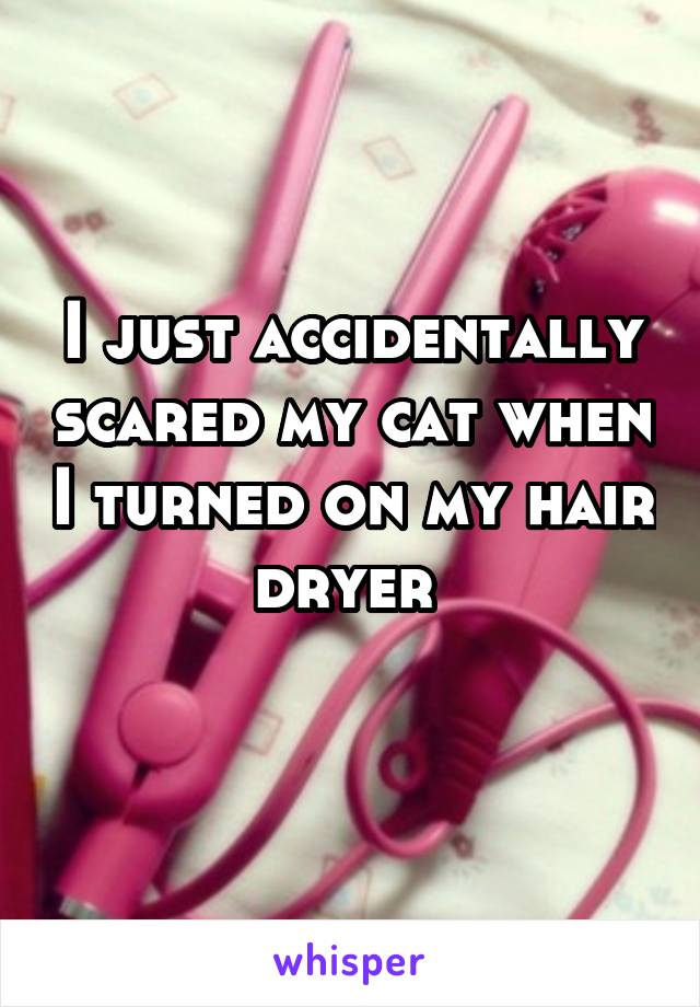 I just accidentally scared my cat when I turned on my hair dryer 
