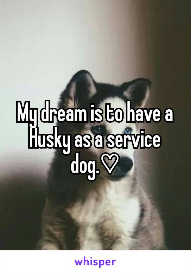 My dream is to have a Husky as a service dog.♡
