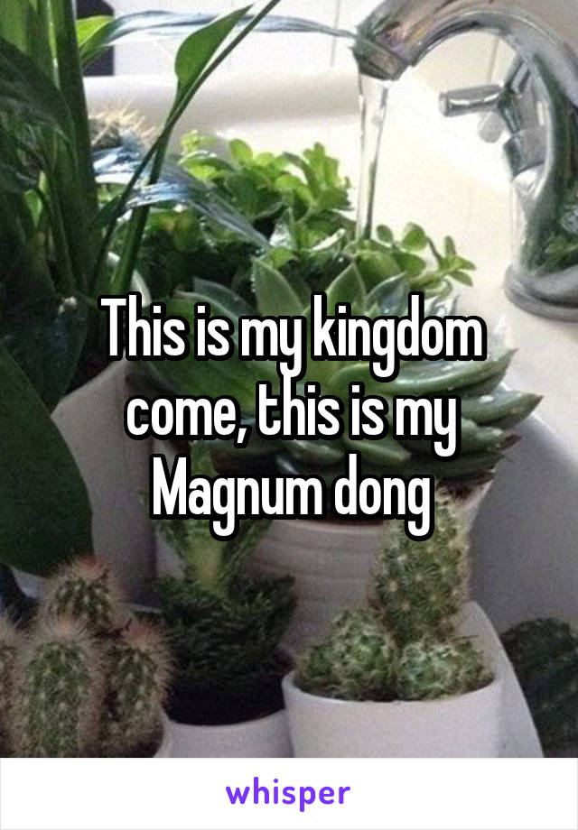 This is my kingdom come, this is my Magnum dong