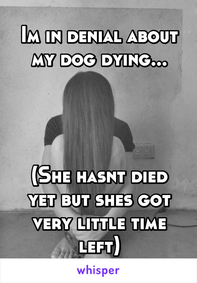 Im in denial about my dog dying...




(She hasnt died yet but shes got very little time left)