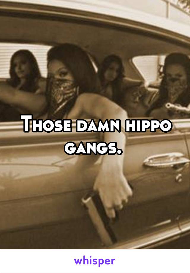 Those damn hippo gangs. 
