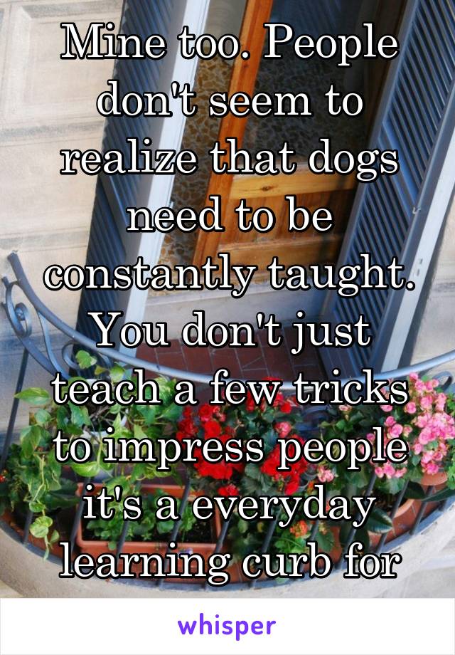 Mine too. People don't seem to realize that dogs need to be constantly taught. You don't just teach a few tricks to impress people it's a everyday learning curb for them